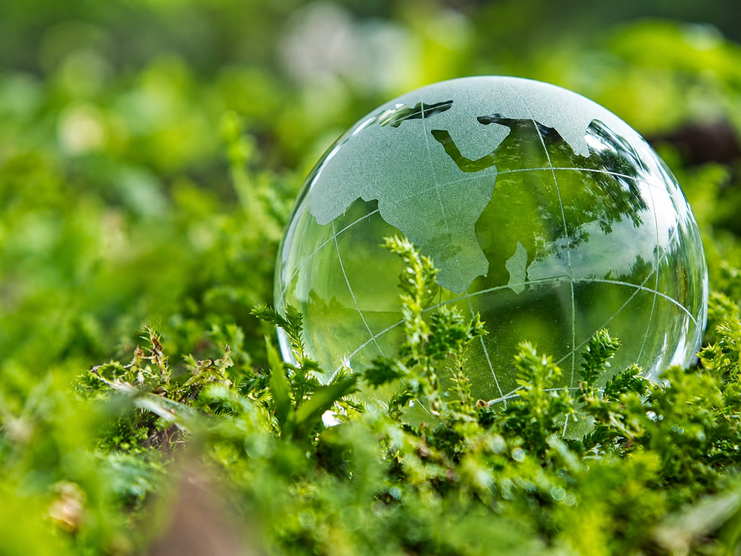 Consultoría ambiental
